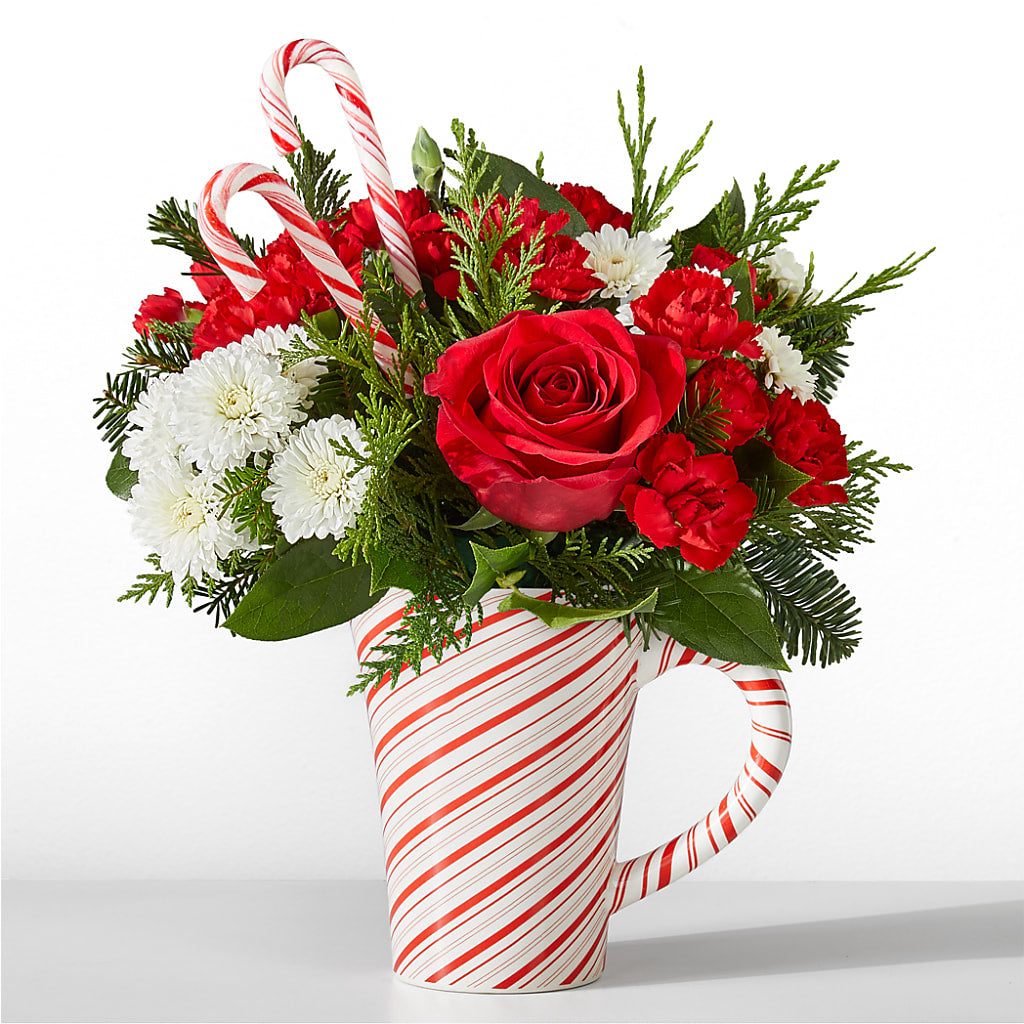 Peppermint Swirl Mug – Secret Garden By Leo, Chicago IL