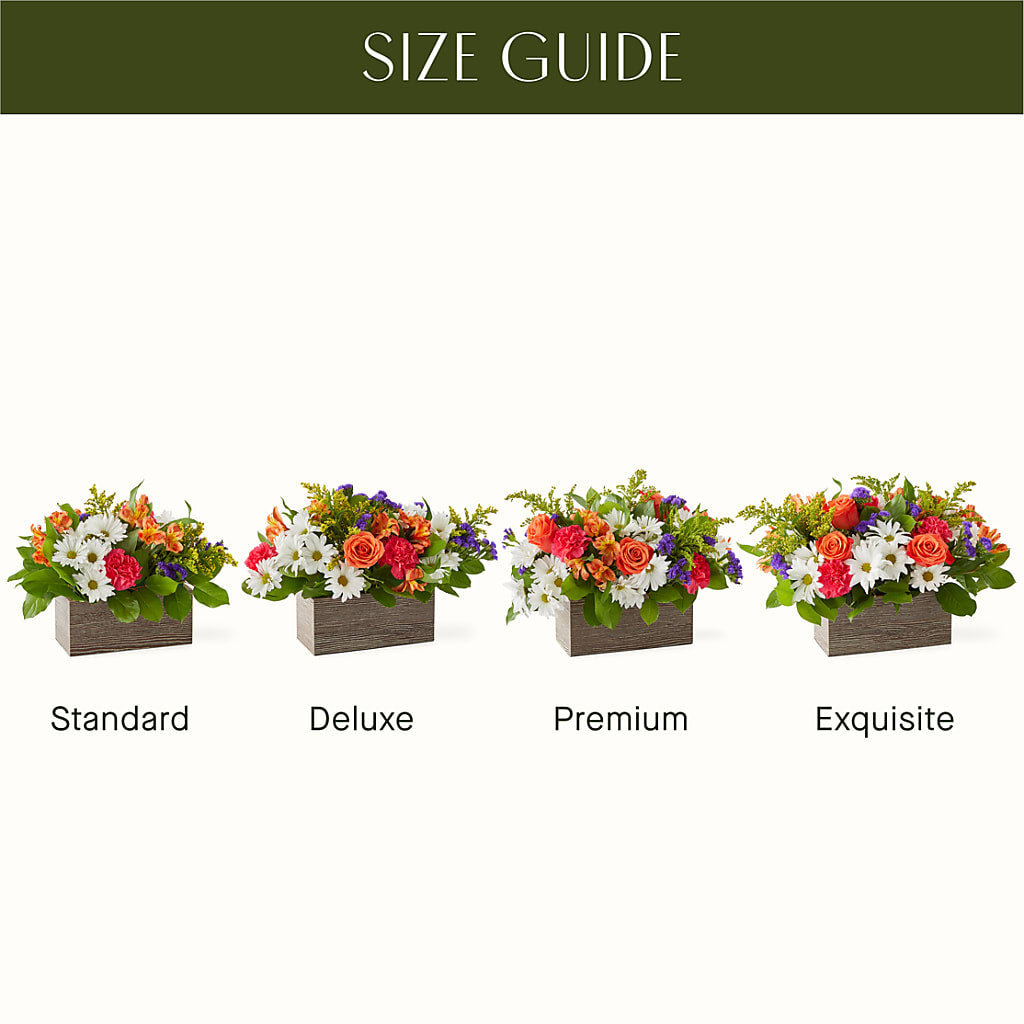Oopsie Daisy Box Bouquet – Secret Garden By Leo, Chicago IL