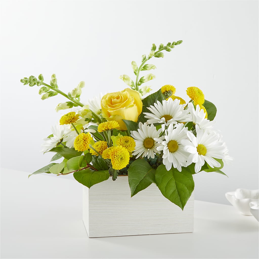 Sun Salutation Box Bouquet – Secret Garden By Leo, Chicago IL