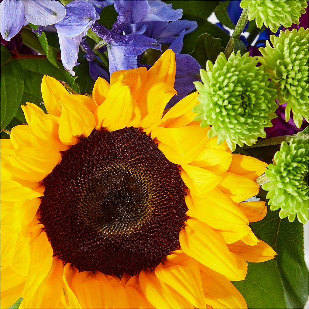 Catching Rays Bouquet – Secret Garden By Leo, Chicago IL