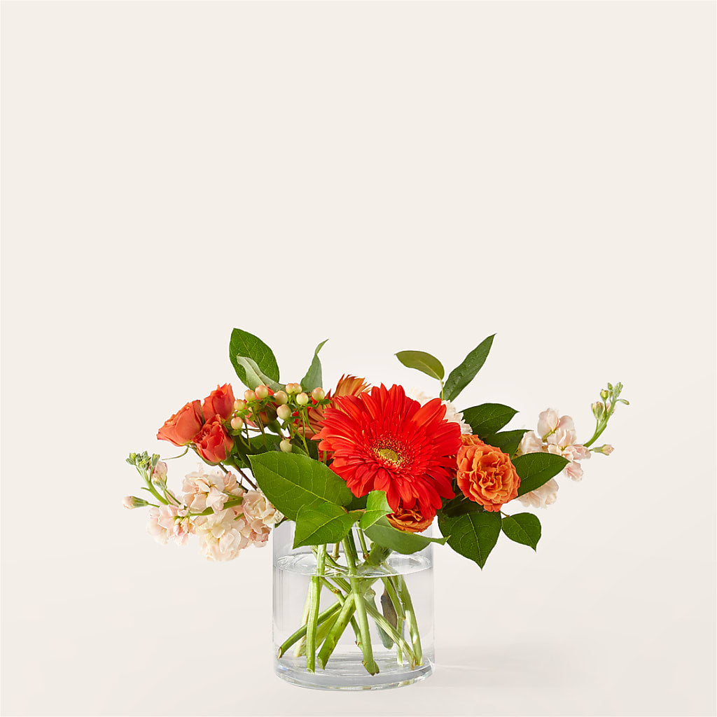Paloma Please Bouquet – Secret Garden By Leo, Chicago IL