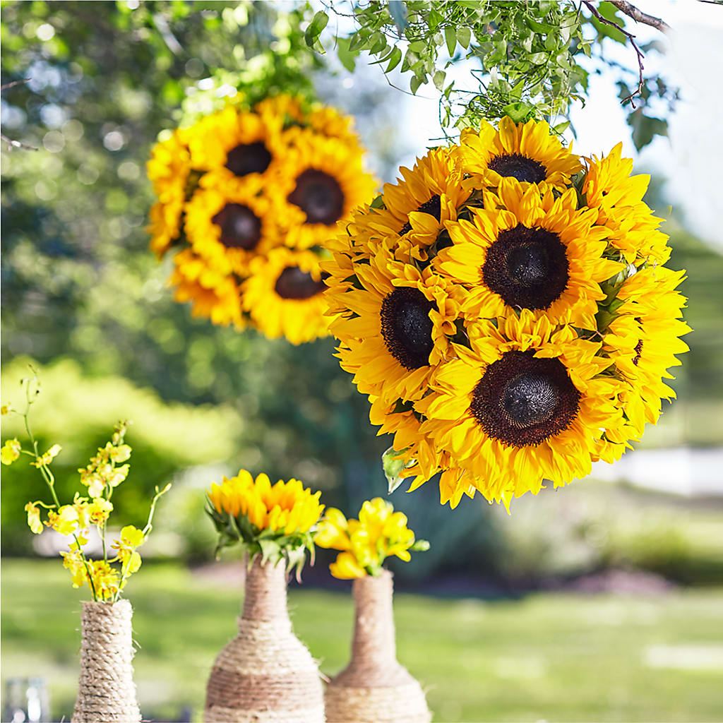 Sublime Garden Hanging Arrangement – Secret Garden By Leo, Chicago IL
