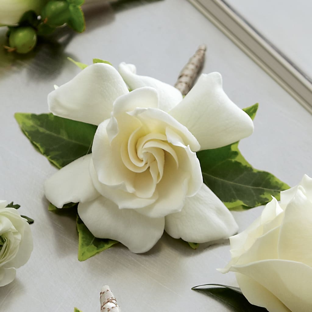 Gardenia Boutonniere – Secret Garden By Leo, Chicago IL