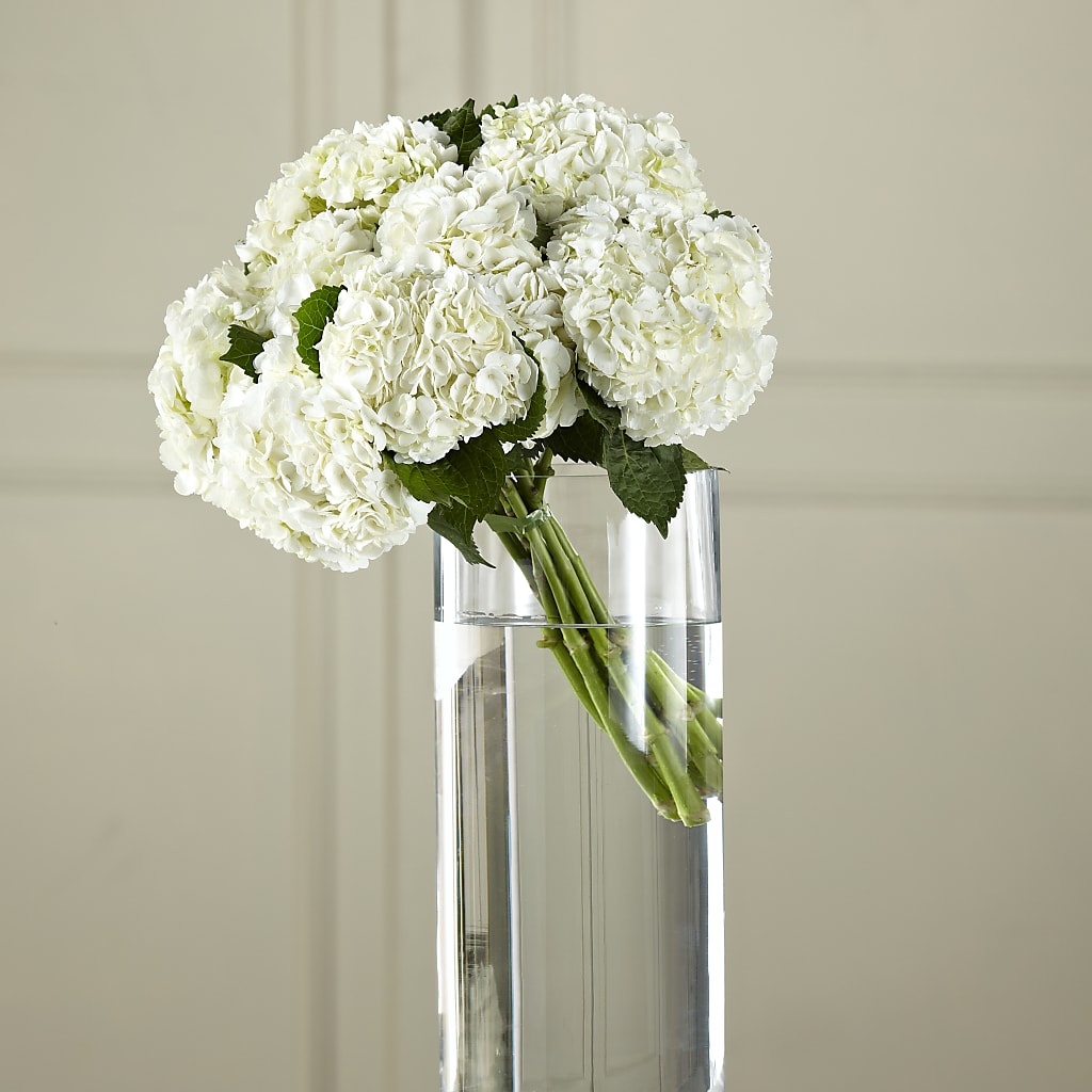 White Hydrangea Hand-Tied Bouquet – Secret Garden By Leo, Chicago IL