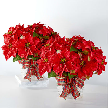 Happiest Holidays Poinsettia Bundle –  Secret Garden By Leo, Chicago IL