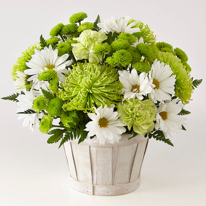 Lucky Charm Basket (Standard) –  Secret Garden By Leo, Chicago IL
