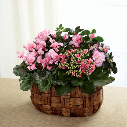 Pink Assortment –  Secret Garden By Leo, Chicago IL