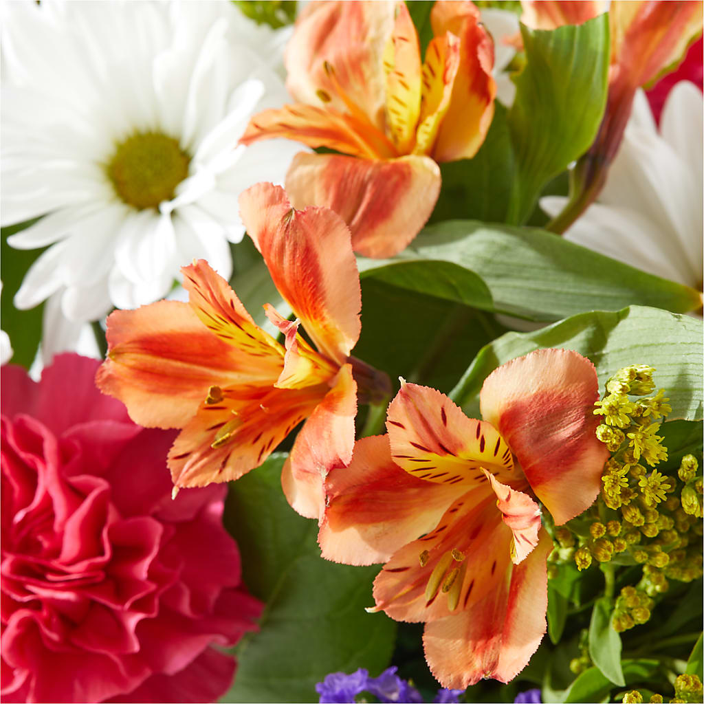 Oopsie Daisy Box Bouquet –  Secret Garden By Leo, Chicago IL