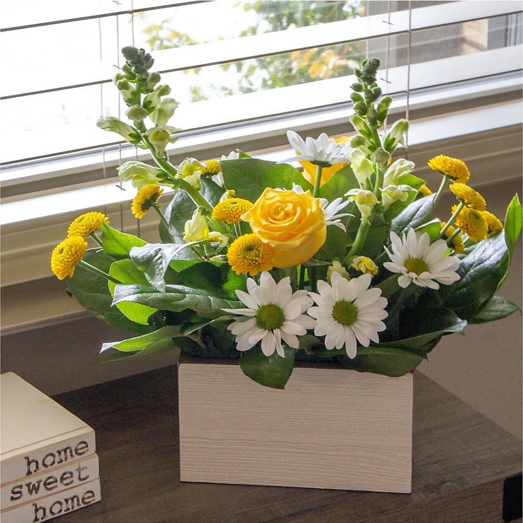 Sun Salutation Box Bouquet –  Secret Garden By Leo, Chicago IL