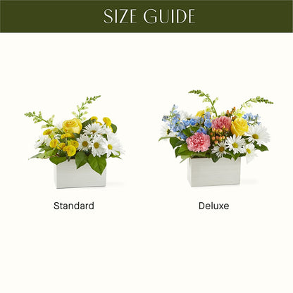 Sun Salutation Box Bouquet –  Secret Garden By Leo, Chicago IL