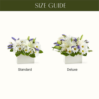 Beyond Blue Box Bouquet –  Secret Garden By Leo, Chicago IL