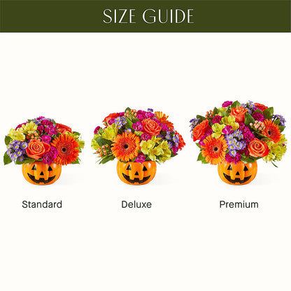Tricks & Treats Pumpkin –  Secret Garden By Leo, Chicago IL