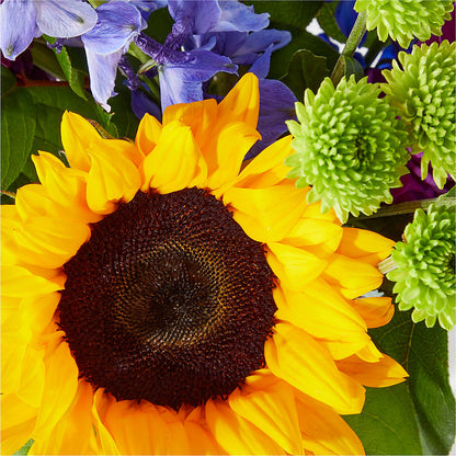 Catching Rays Bouquet –  Secret Garden By Leo, Chicago IL