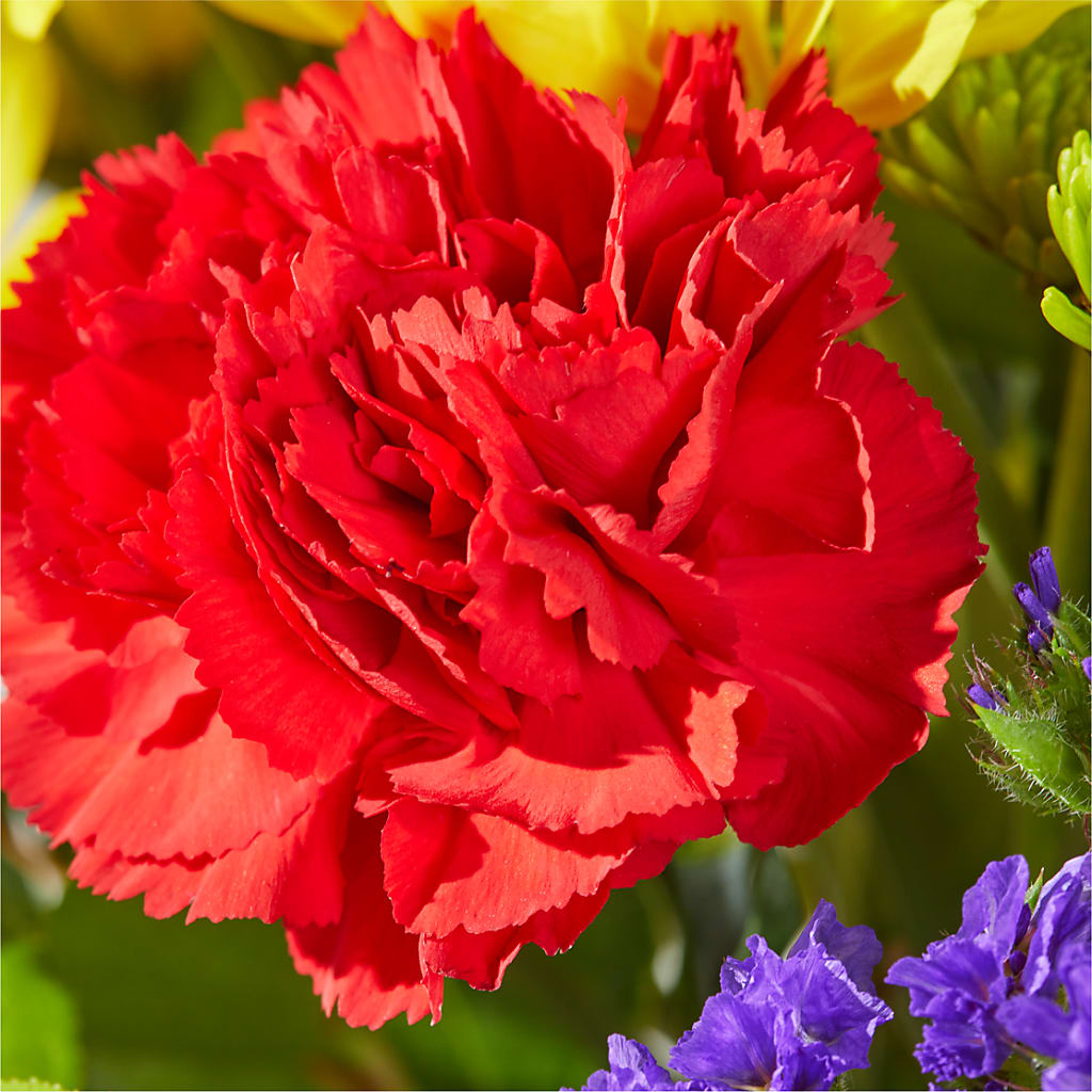 Brighter Days Bouquet –  Secret Garden By Leo, Chicago IL