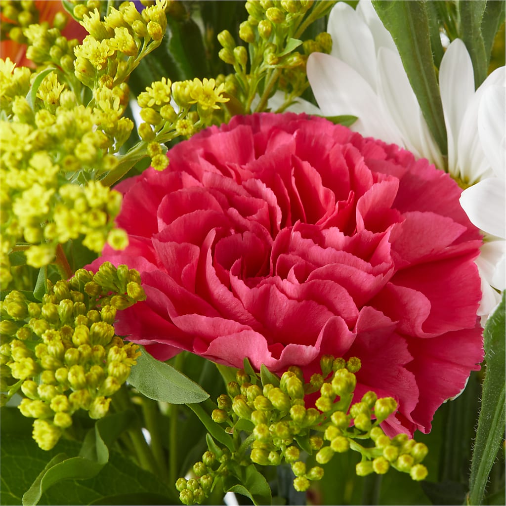 Oopsie Daisy Bouquet –  Secret Garden By Leo, Chicago IL