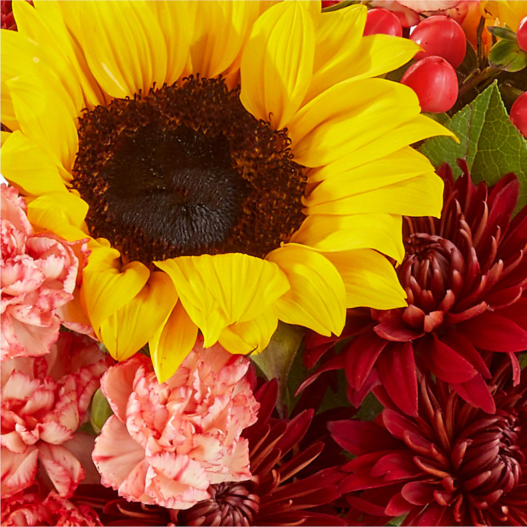 Fresh Cider Bouquet –  Secret Garden By Leo, Chicago IL