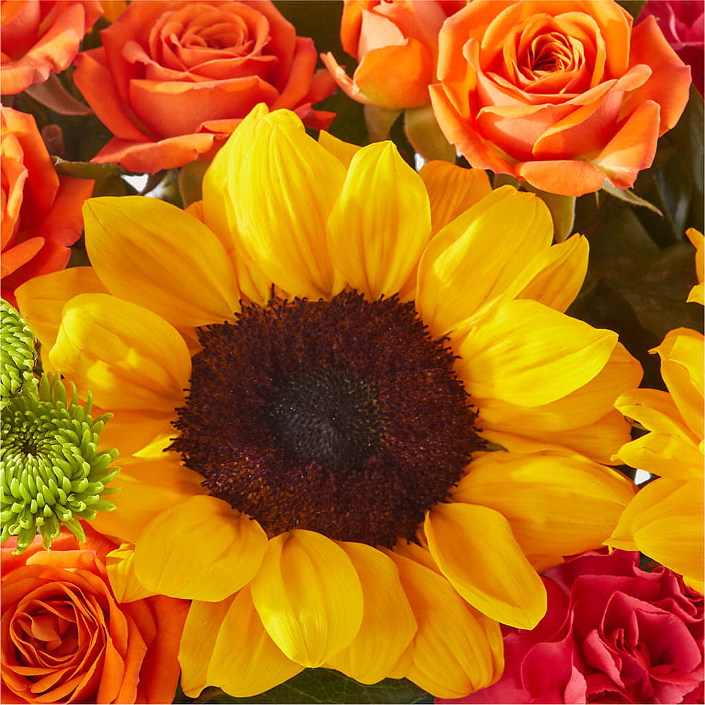 Sun-drenched Blooms Box Bouquet –  Secret Garden By Leo, Chicago IL