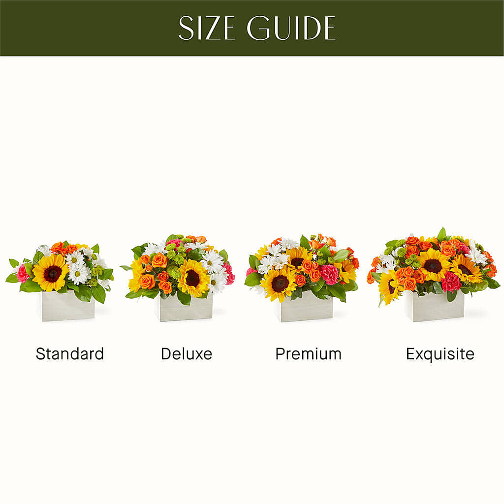 Sun-drenched Blooms Box Bouquet –  Secret Garden By Leo, Chicago IL