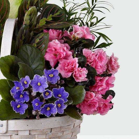 Peaceful Garden Planter –  Secret Garden By Leo, Chicago IL