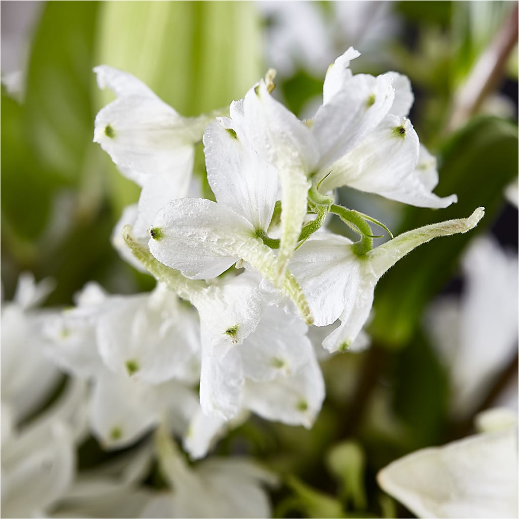 Classic Ivory – A Florist Original –  Secret Garden By Leo, Chicago IL