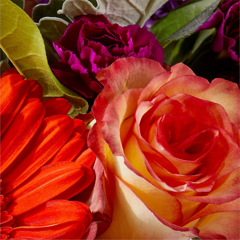 Sangria Bouquet –  Secret Garden By Leo, Chicago IL