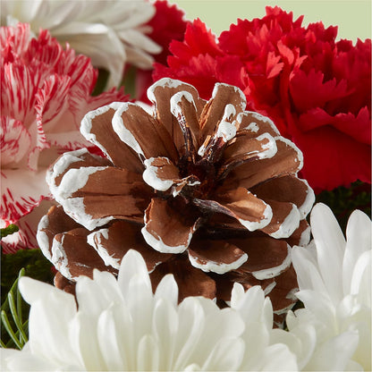 Candy Cane Lane Bouquet –  Secret Garden By Leo, Chicago IL