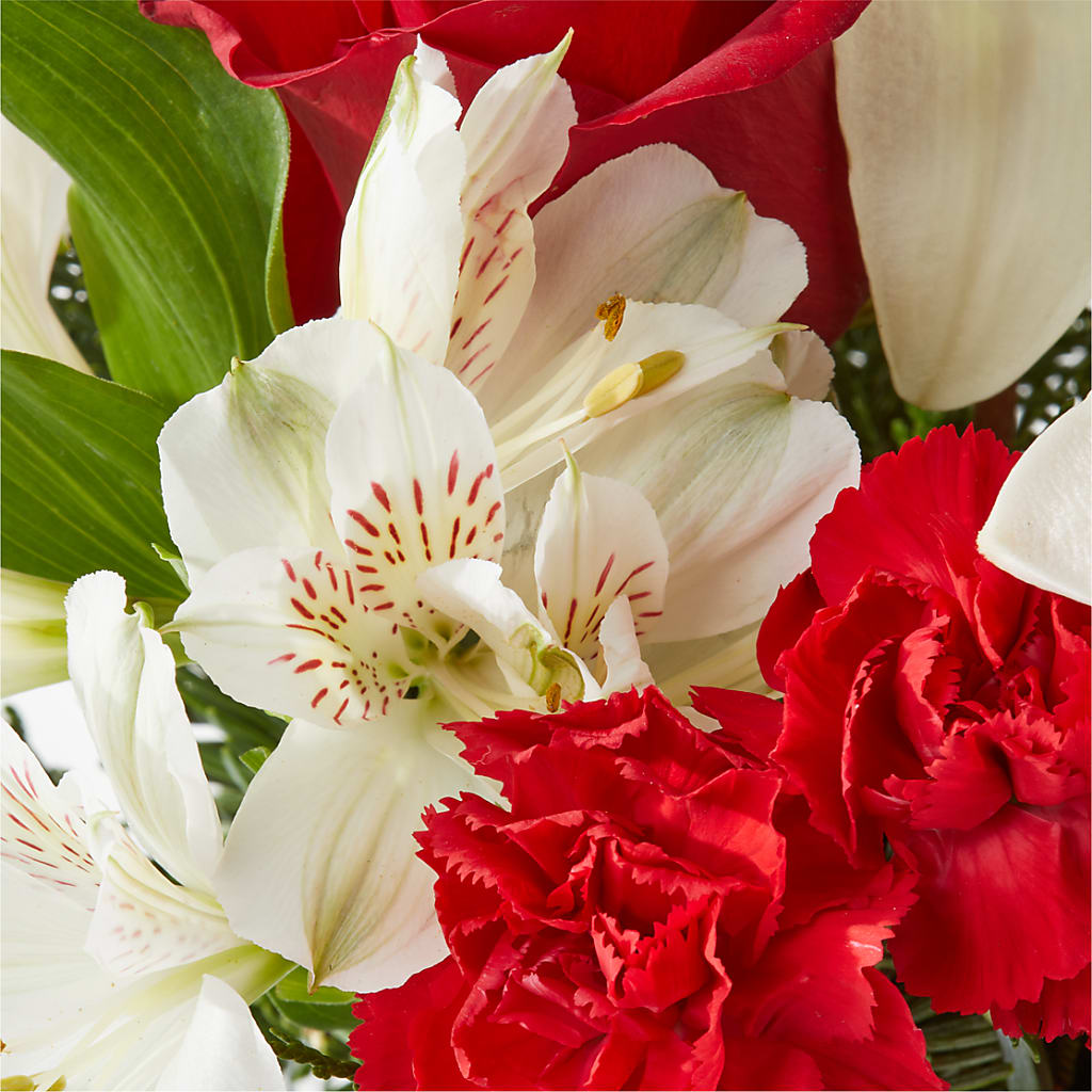 Holiday Season Bouquet –  Secret Garden By Leo, Chicago IL