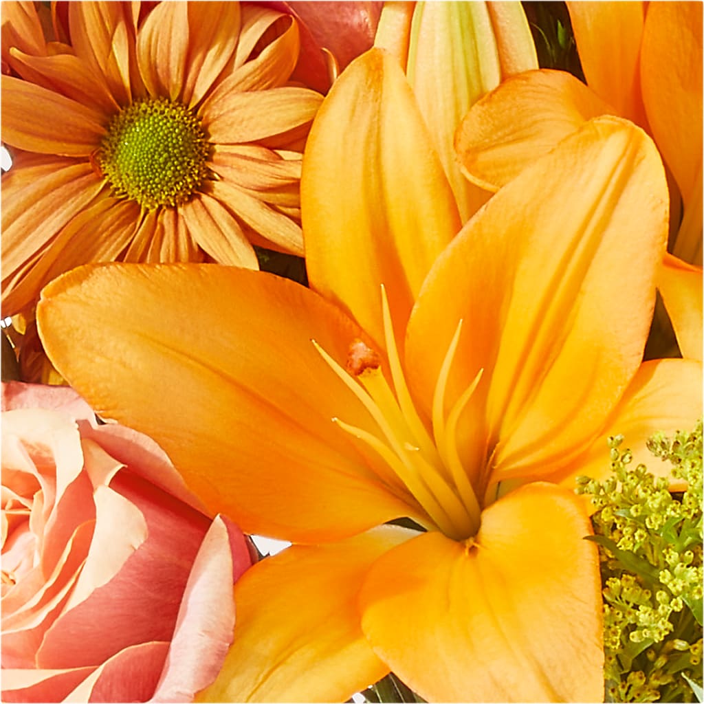 Harvest Hayride Bouquet –  Secret Garden By Leo, Chicago IL