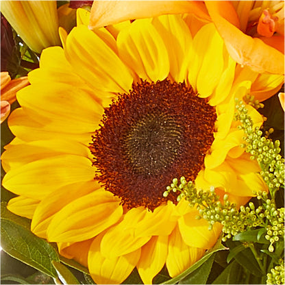 Seasons Change Bouquet –  Secret Garden By Leo, Chicago IL