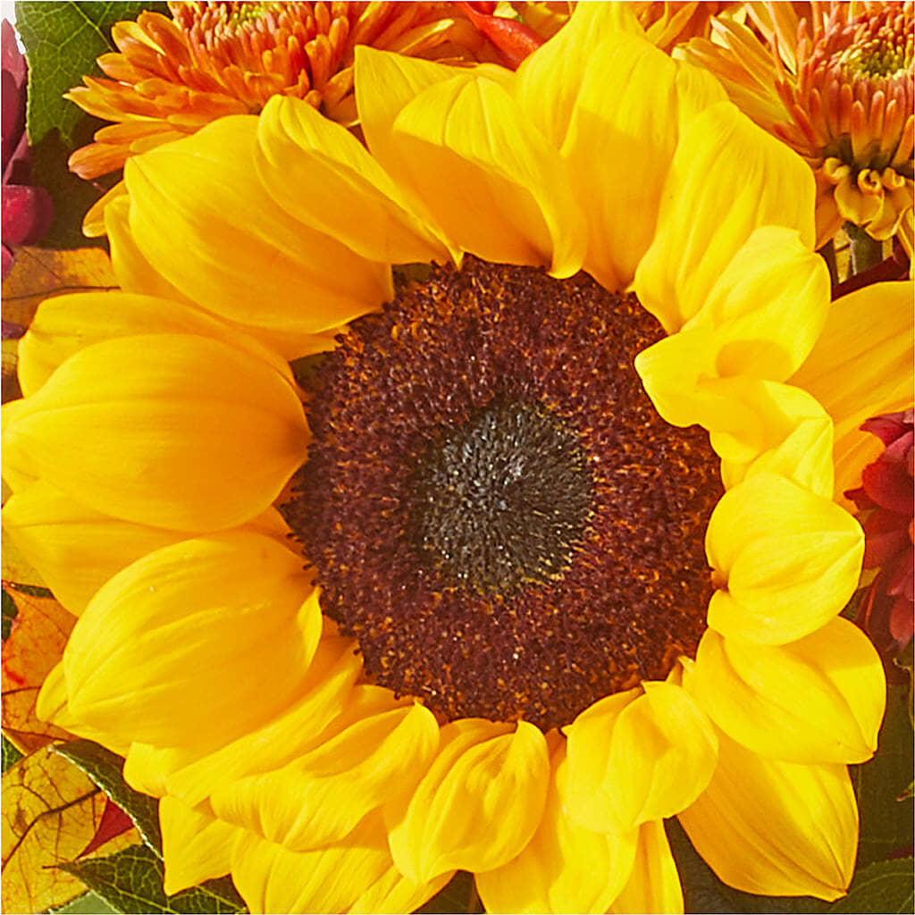 Sunny Side Bouquet –  Secret Garden By Leo, Chicago IL