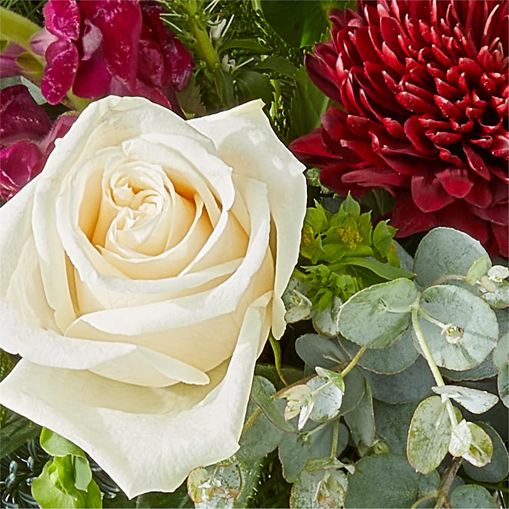 Cranberry Fizz Bouquet –  Secret Garden By Leo, Chicago IL