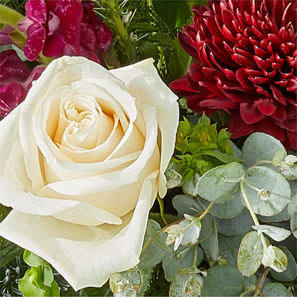 Cranberry Fizz Bouquet –  Secret Garden By Leo, Chicago IL