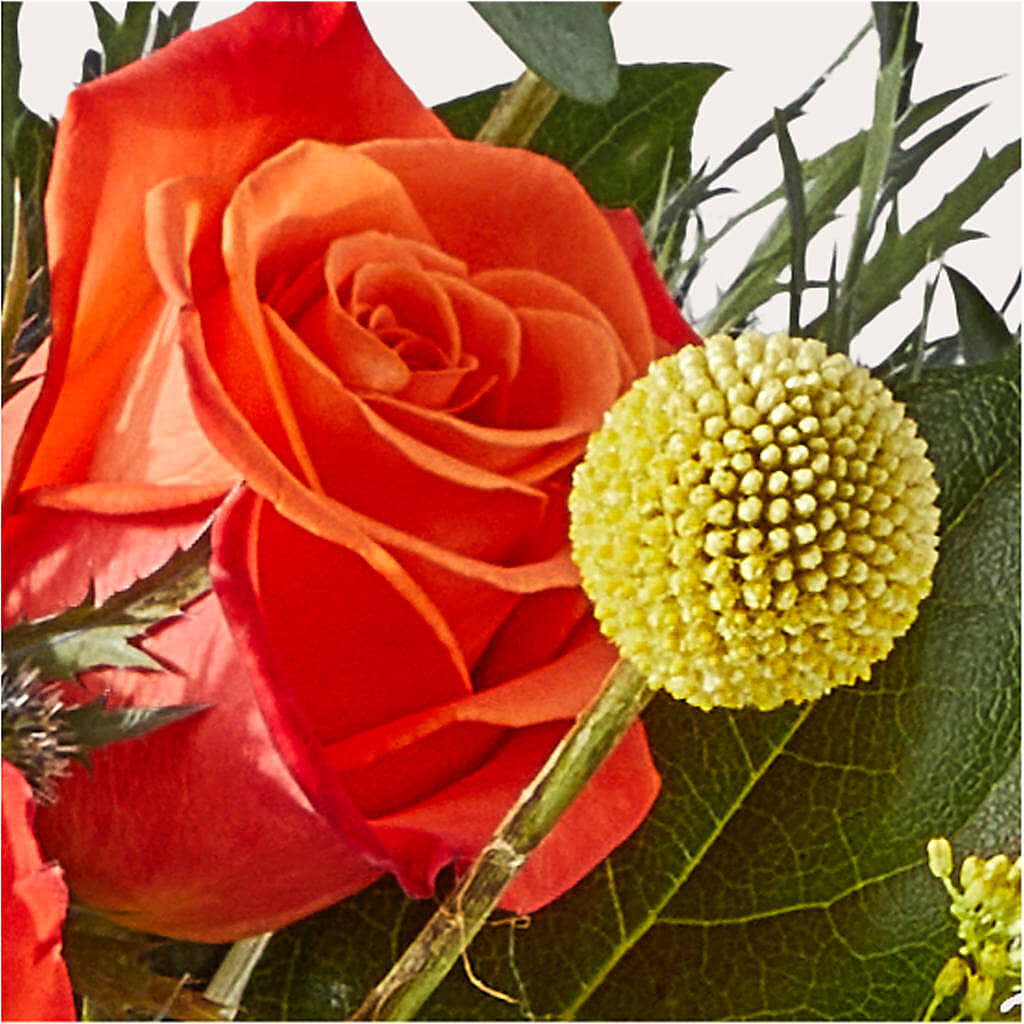 Disco Bouquet –  Secret Garden By Leo, Chicago IL