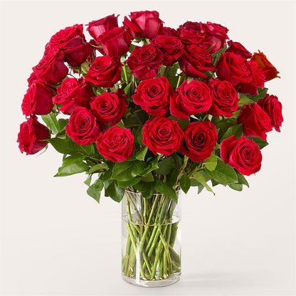 The One Red Rose Bouquet –  Secret Garden By Leo, Chicago IL