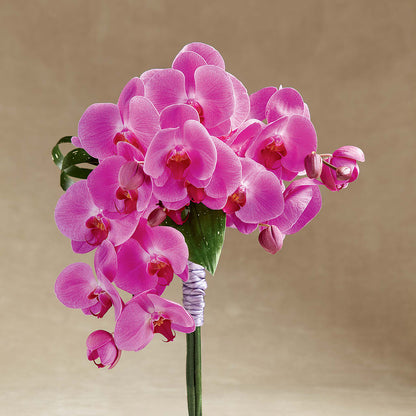 Glorious Bouquet –  Secret Garden By Leo, Chicago IL